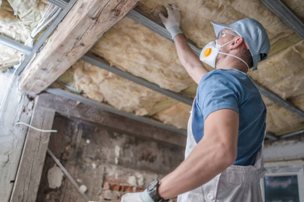 Best Insulation for Specific Applications in Elleale, ND