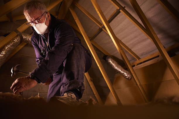 Best Insulation Installation Services in Elleale, ND