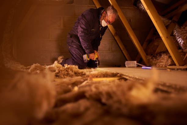Best Residential Insulation in Elleale, ND